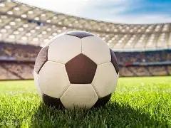 烏度卡宣言,杯赛征程,力求精彩对,香港赛马,赛马赛事,香港马术比赛,赛马资讯