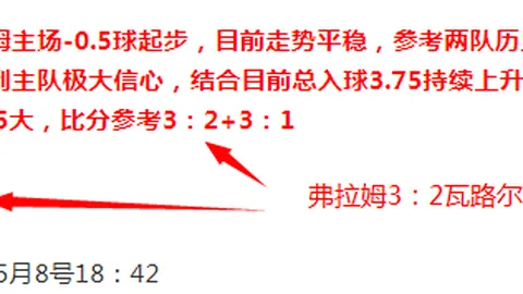 大乐透期号专家推荐：纽卡斯尔主场质合分析前区十码