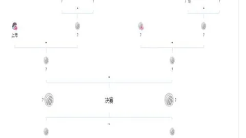 比埃拉离别国安，揭秘其归国内幕